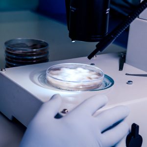 Smart optical biopsy with polarised light (SmartOpsy)