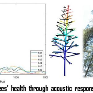 ATTRACT featured stories: Development of a percussion sensor for wood disease evaluation (PERSEFONE)